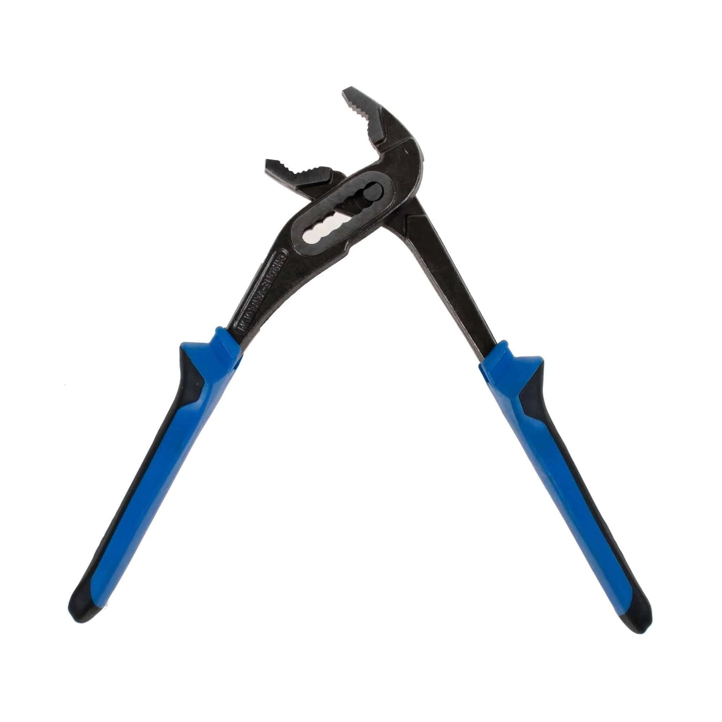 Cleste papagal , 250 mm / ZLN 8479