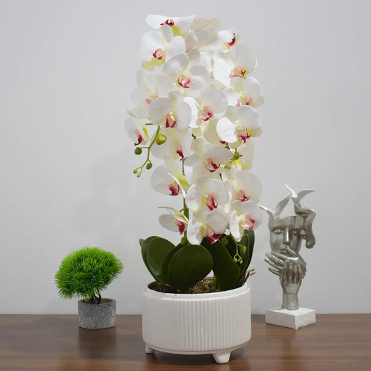 Orhidee cu aspect natural in ghiveci ceramic, 71 cm, Naimeed D4844, Alb