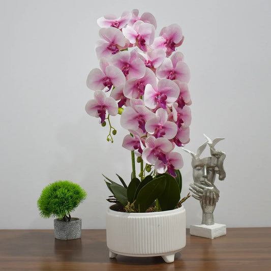 Orhidee cu aspect natural in ghiveci ceramic, 71 cm, Naimeed D4844, Roz