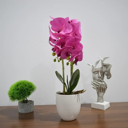 Orhidee cu aspect natural in ghiveci ceramic, 53 cm, Naimeed D4846, Magenta