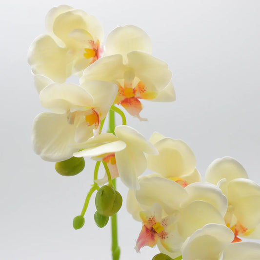 Orhidee cu aspect natural in ghiveci ceramic, 35 cm, Naimeed D4849, Galben