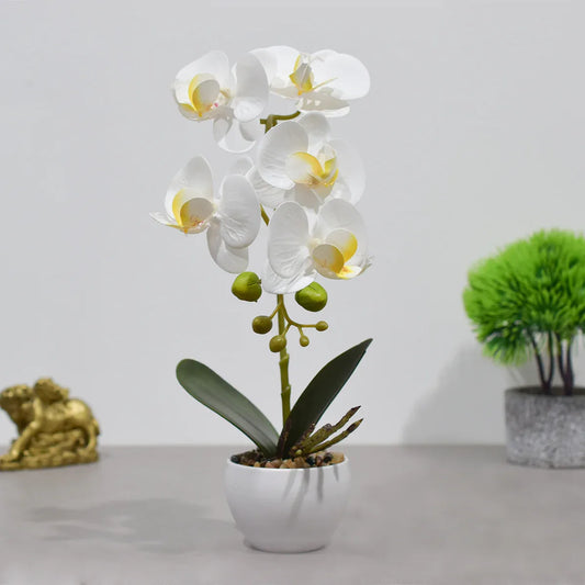 Orhidee cu aspect natural in ghiveci ceramic, 33 cm, Naimeed D4851, Alb