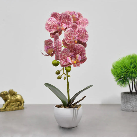 Orhidee cu aspect natural in ghiveci ceramic, 33 cm, Naimeed D4851, RozGalben