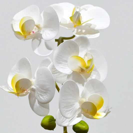 Orhidee cu aspect natural in ghiveci ceramic, 35 cm, Naimeed D4849, Alb