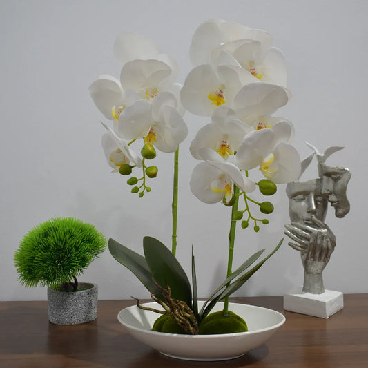 Orhidee cu aspect natural in ghiveci ceramic, 49 cm, Naimeed D4852, Alb