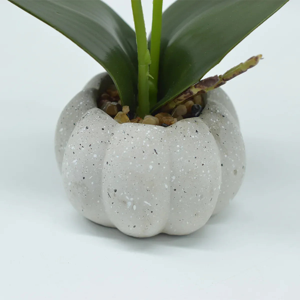 Orhidee cu aspect natural in ghiveci ceramic, 30 cm, Naimeed D4856, Roz