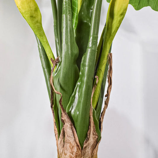 Planta artificiala,Caladium Taro fara ghiveci, Naimeed D5651, 210x177 cm Verde