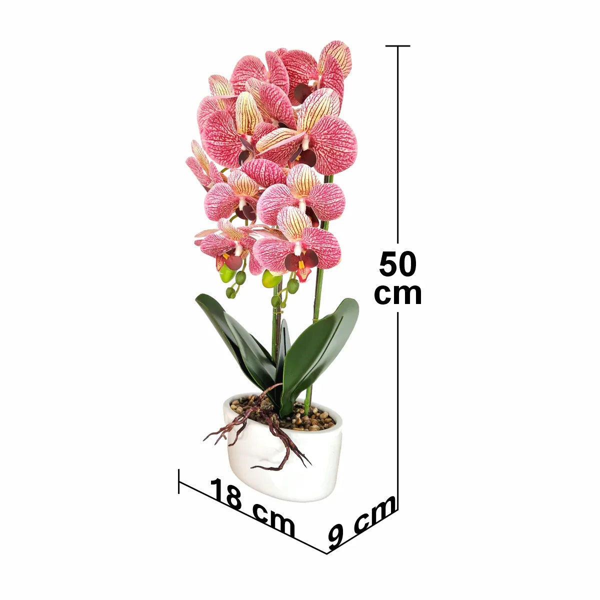 Orhidee cu aspect natural in ghiveci ceramic, 50 cm, Naimeed D5819, Mov