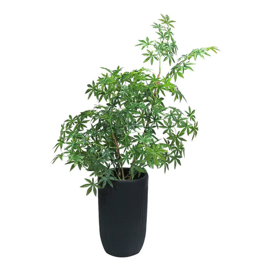 Ghiveci ecologic, Eco-friendly, Naimeed D6359, Mediu, din materiale minerale, Negru, 44x32x32cm