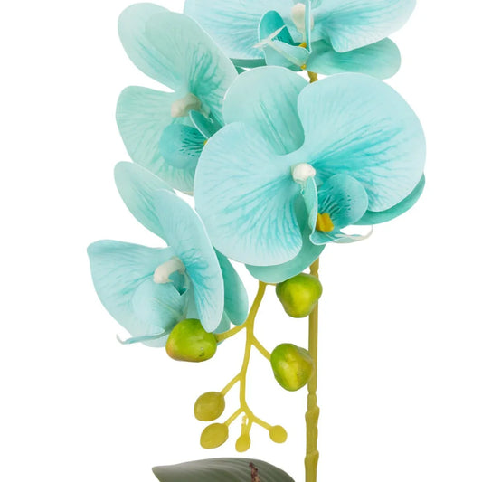 Orhidee cu aspect natural in ghiveci ceramic, 41 cm, Naimeed D6886, Turcoaz