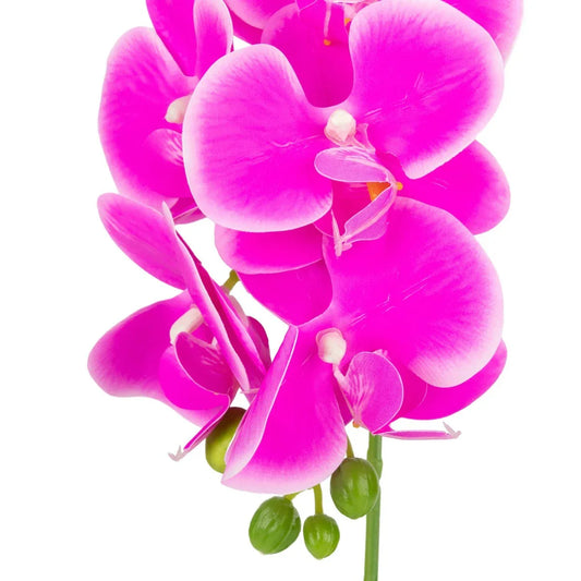 Orhidee cu aspect natural in ghiveci ceramic, 40 cm, Naimeed D6889, Fucsia