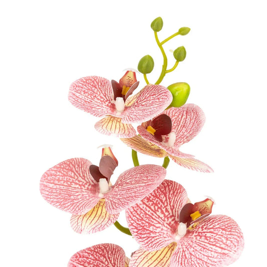 Orhidee cu aspect natural in ghiveci ceramic, 49 cm, Naimeed D6891, Roz