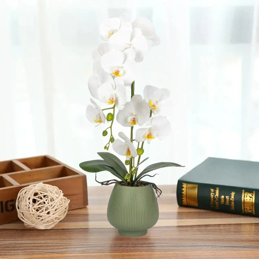 Orhidee cu aspect natural in ghiveci ceramic, 80 cm, Naimeed D6903, Alb/Verde