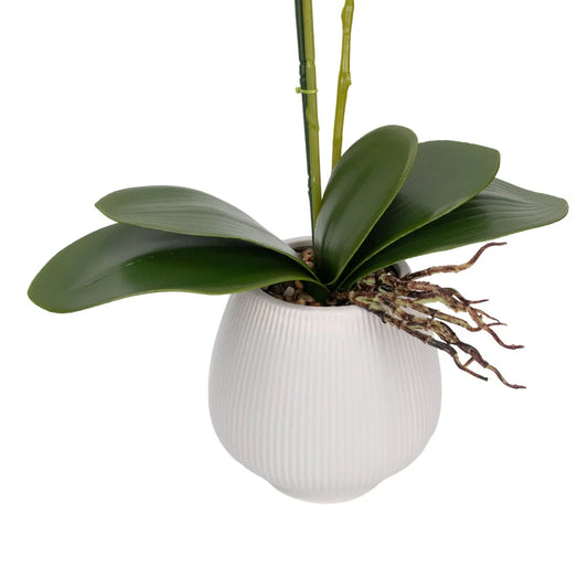 Orhidee cu aspect natural in ghiveci ceramic, 80 cm, Naimeed D6905, Portocaliu pal/Alb