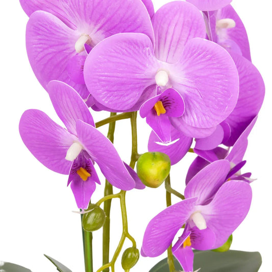 Orhidee cu aspect natural in ghiveci ceramic, 80 cm, Naimeed D6906, Mov/Verde