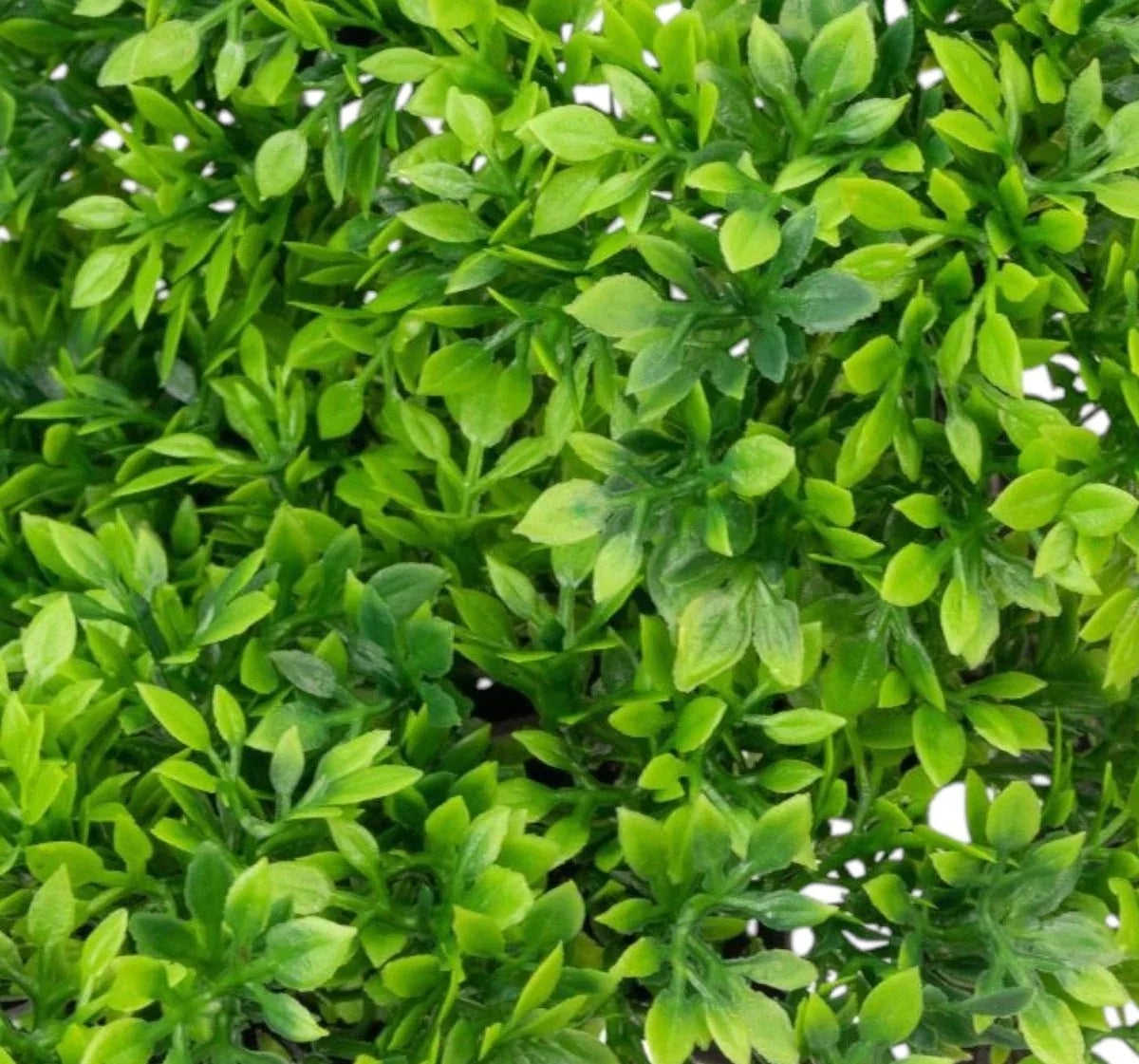 Copac artificial, tip Buxus, cu ghiveci, Naimeed D6910, 40x12 cm, Verde