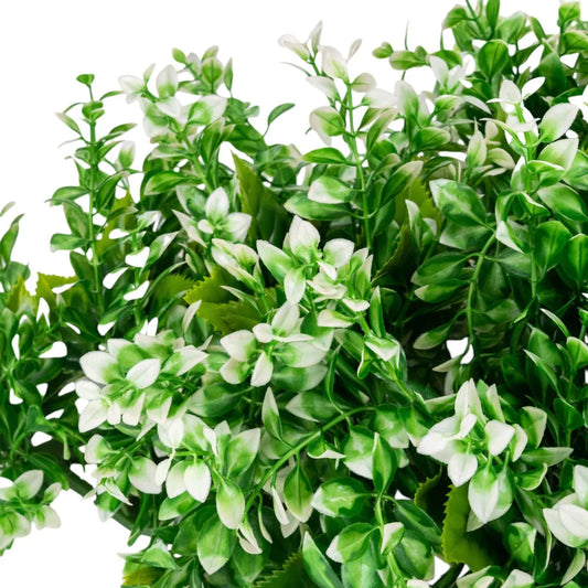 Planta decorativa artificiala, fara ghiveci, tip Buxus, Naimeed D6966, 80x40 cm, Alb/Verde