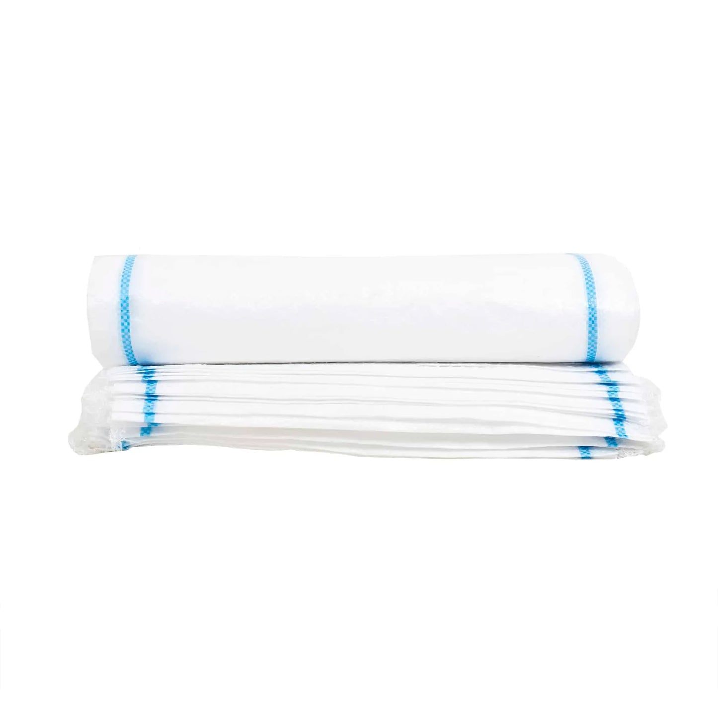Pachet 10 saci de rafie 50x100 cm / 4941_10