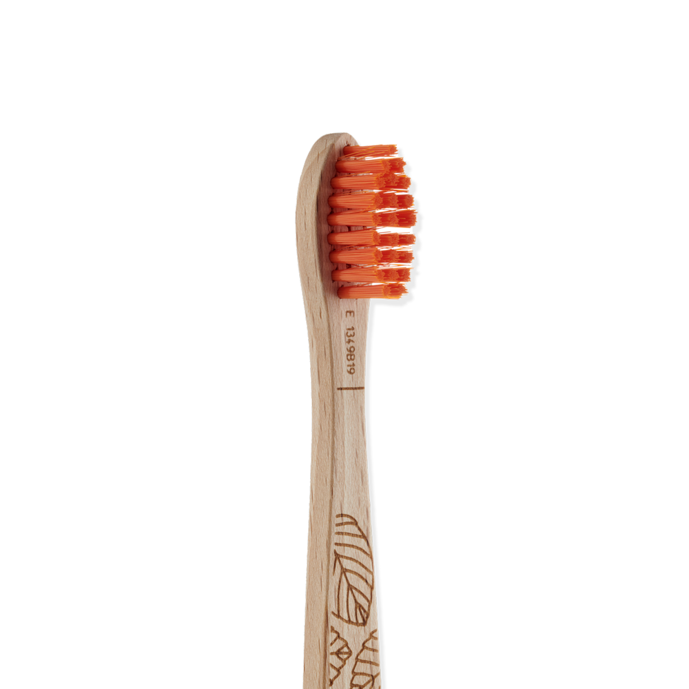 Periuță de dinți din lemn de fag - Copii