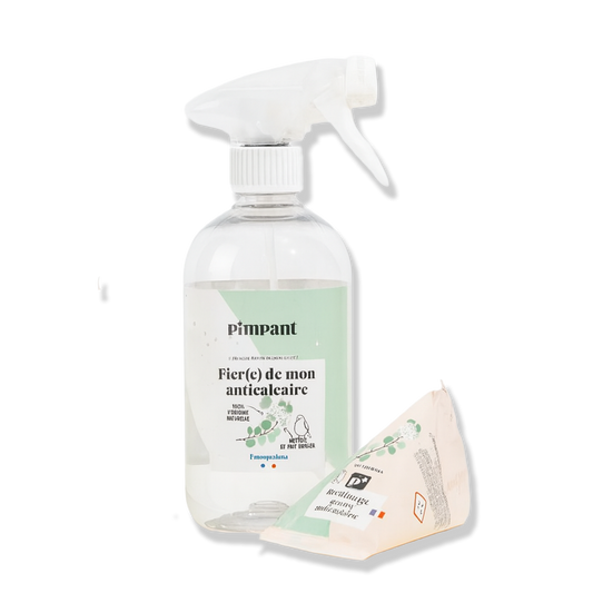 Set Spray Reîncărcabil 500 ml + Rezervă Detergent Anti-Calcar, 100% natural