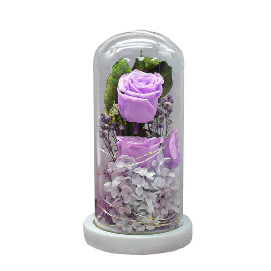 Aranjament floral in cupola de sticla, lumina Led, D4014 , Mov