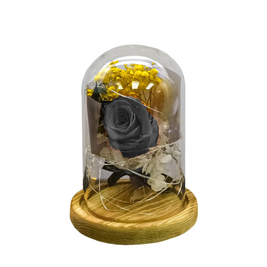 Aranjament floral in cupola de sticla, lumina Led, D4016, Negru