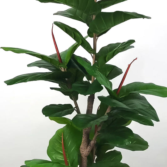 Planta artificiala, Ficus Pandurata fara ghiveci, D4276, 165cm, verde