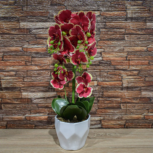 Orhidee cu aspect natural in ghiveci ceramic, 70 cm, Naimeed D4842, Rosu