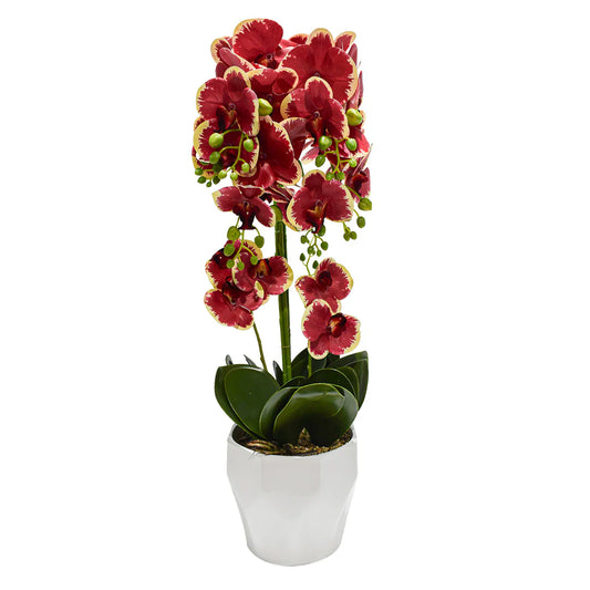 Orhidee cu aspect natural in ghiveci ceramic, 70 cm, Naimeed D4842, Rosu