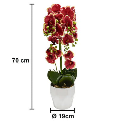 Orhidee cu aspect natural in ghiveci ceramic, 70 cm, Naimeed D4842, Rosu