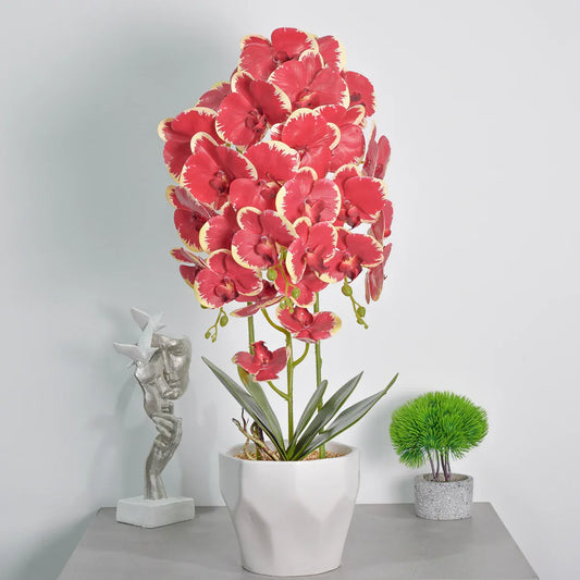 Orhidee cu aspect natural in ghiveci ceramic, 70 cm, Naimeed D4843, Rosu