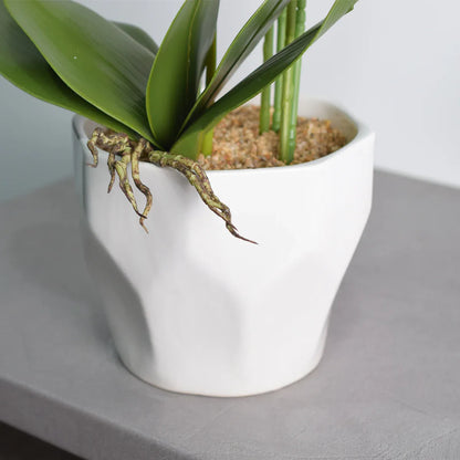 Orhidee cu aspect natural in ghiveci ceramic, 70 cm, Naimeed D4843, Rosu