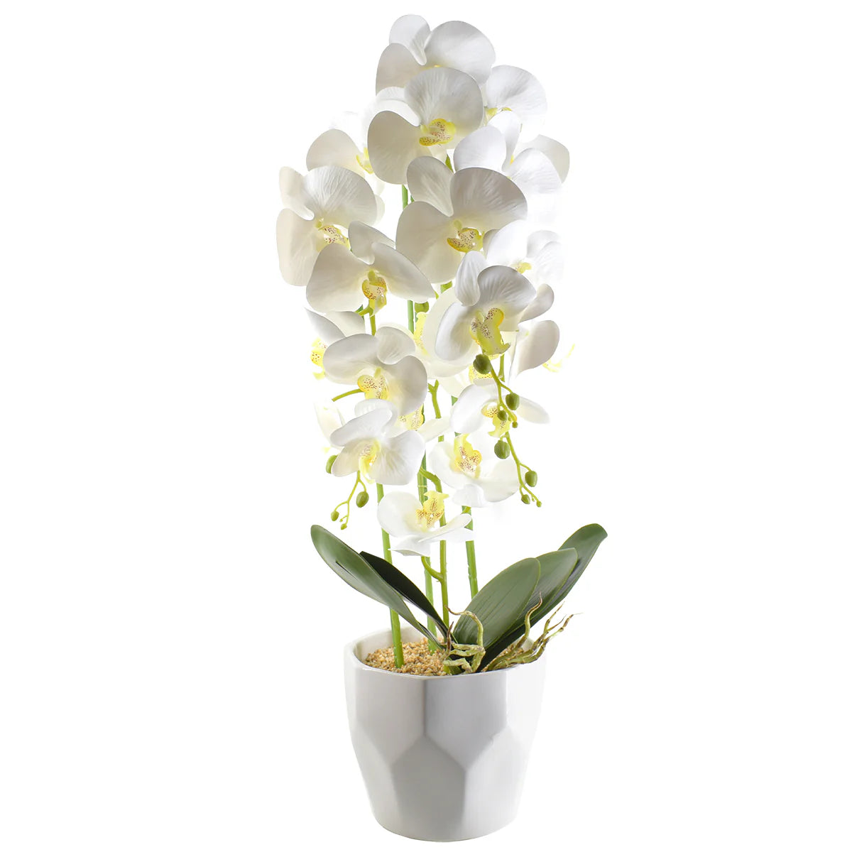 Orhidee cu aspect natural in ghiveci ceramic, 70 cm, Naimeed D4843, Alb