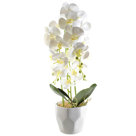 Orhidee cu aspect natural in ghiveci ceramic, 70 cm, Naimeed D4843, Alb
