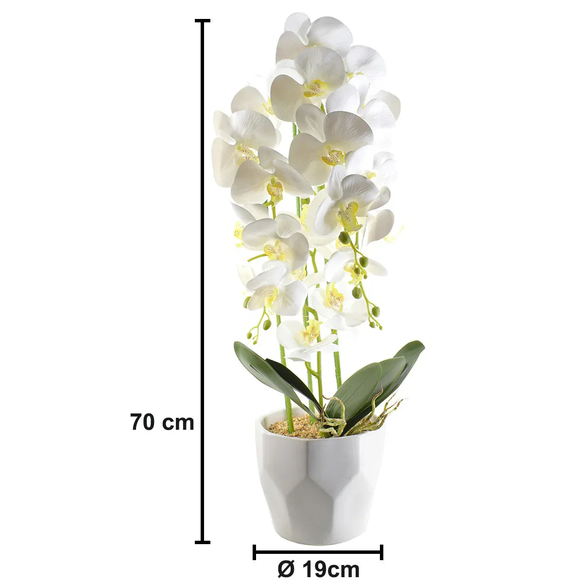 Orhidee cu aspect natural in ghiveci ceramic, 70 cm, Naimeed D4843, Alb