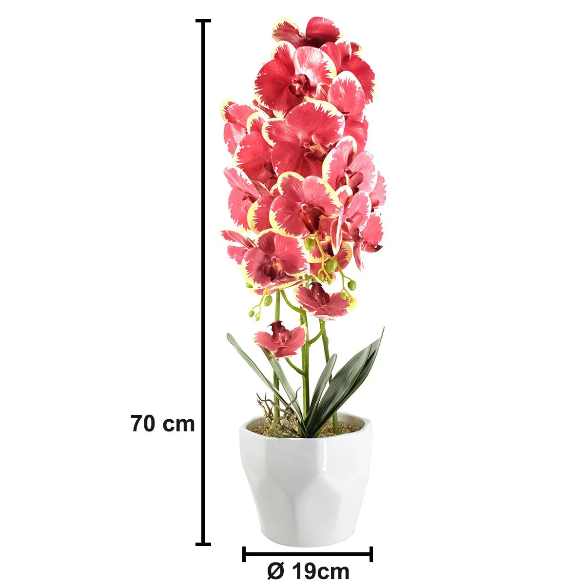 Orhidee cu aspect natural in ghiveci ceramic, 70 cm, Naimeed D4843, Rosu