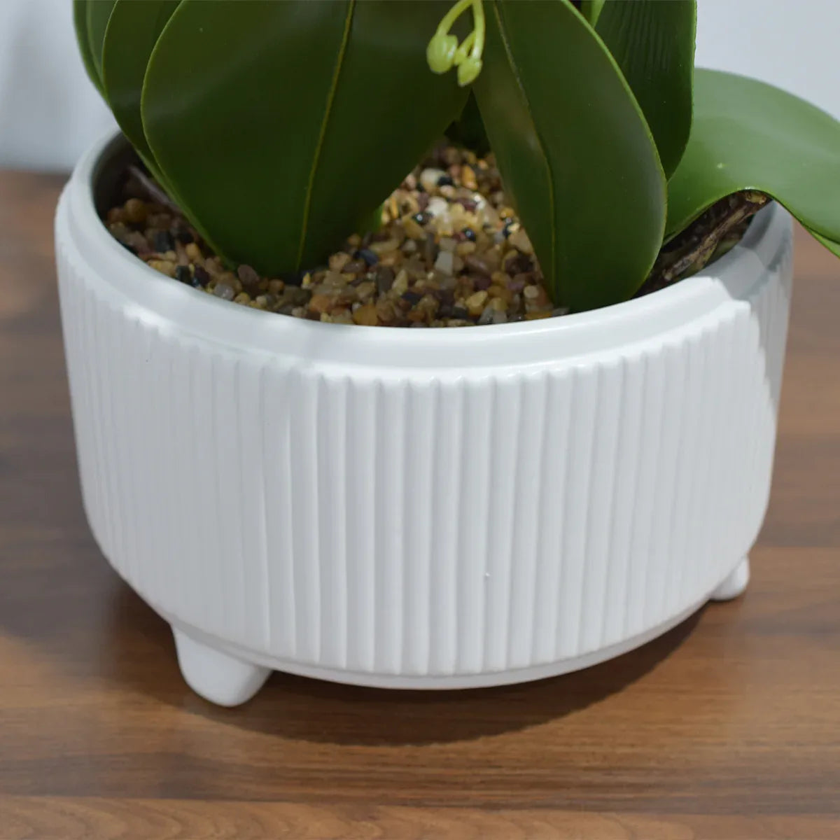 Orhidee cu aspect natural in ghiveci ceramic, 71 cm, Naimeed D4844, Alb-Visiniu