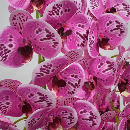 Orhidee cu aspect natural in ghiveci ceramic, 71 cm, Naimeed D4844, Magenta