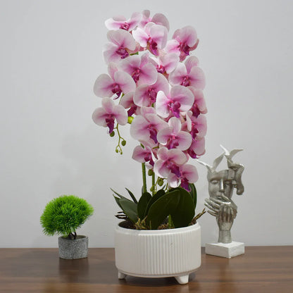 Orhidee cu aspect natural in ghiveci ceramic, 71 cm, Naimeed D4844, Roz