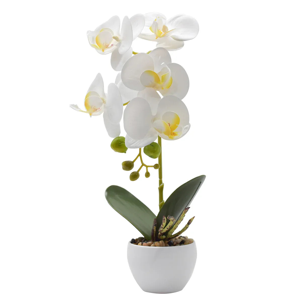 Orhidee cu aspect natural in ghiveci ceramic, 33 cm, Naimeed D4851, Alb