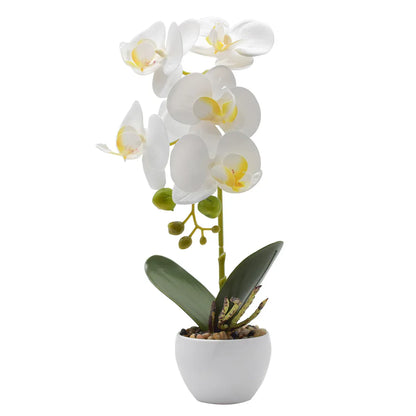 Orhidee cu aspect natural in ghiveci ceramic, 33 cm, Naimeed D4851, Alb