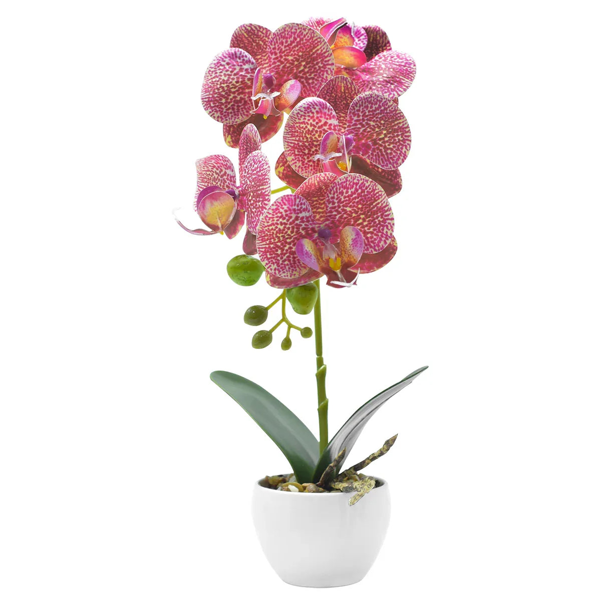 Orhidee cu aspect natural in ghiveci ceramic, 33 cm, Naimeed D4851, RozGalben