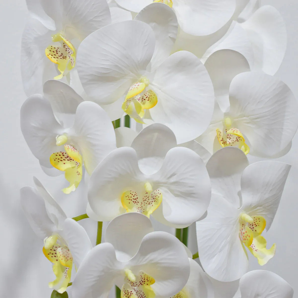 Orhidee cu aspect natural in ghiveci ceramic, 60 cm, Naimeed D4854, Alb