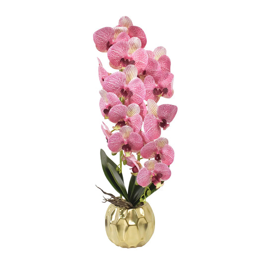 Orhidee cu aspect natural in ghiveci ceramic, 60 cm, Naimeed D4854, RozGalben