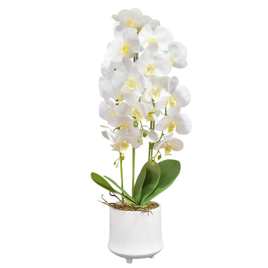 Orhidee cu aspect natural in ghiveci ceramic, 70 cm, Naimeed D4855, Alb