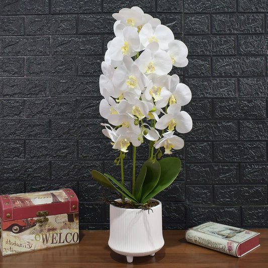 Orhidee cu aspect natural in ghiveci ceramic, 70 cm, Naimeed D4855, Alb