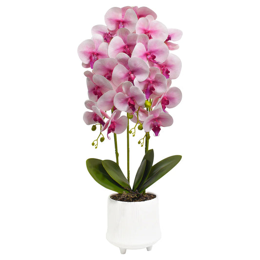 Orhidee cu aspect natural in ghiveci ceramic, 70 cm, Naimeed D4855, Roz