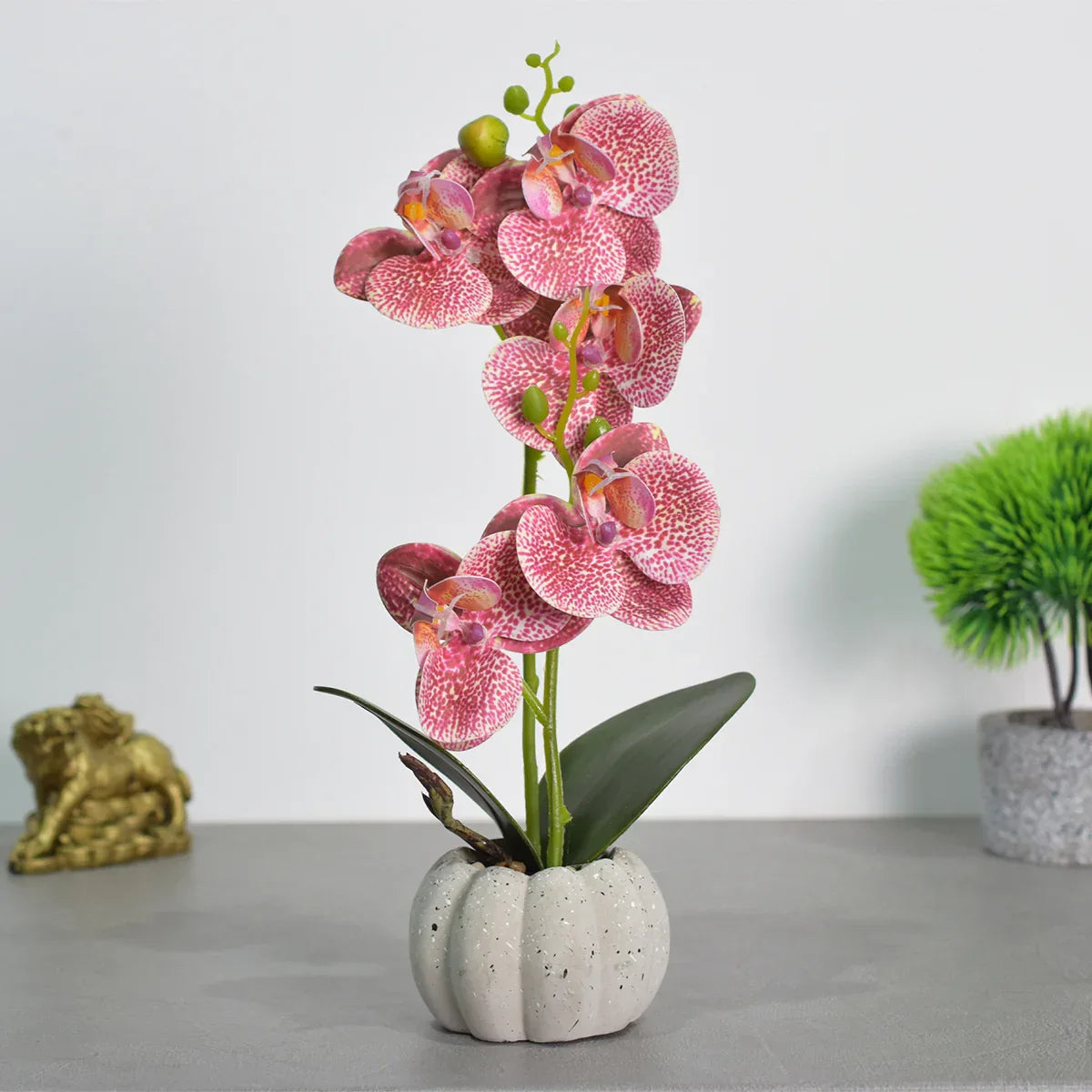Orhidee cu aspect natural in ghiveci ceramic, 30 cm, Naimeed D4856, Roz Inchis