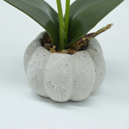 Orhidee cu aspect natural in ghiveci ceramic, 30 cm, Naimeed D4856, Portocaliu