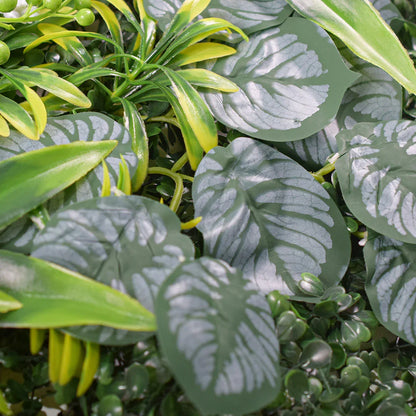 Panou verde din plante artificiale, Naimeed D4985
